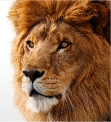 OS X Lion Logo